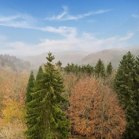 Modern In Reifferscheid With Garden شقة هيلينثال