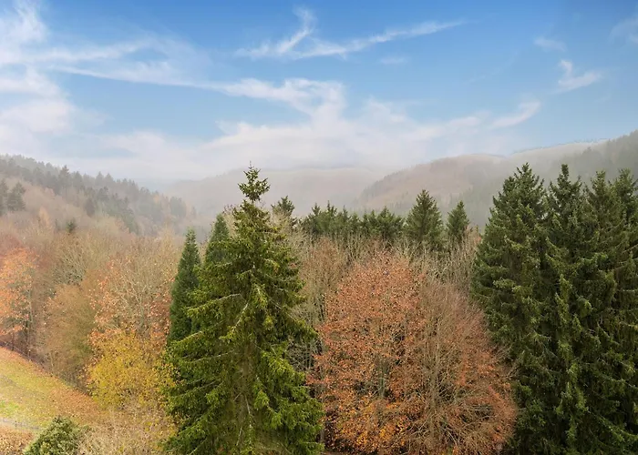 Modern In Reifferscheid With Garden Apartment Hellenthal